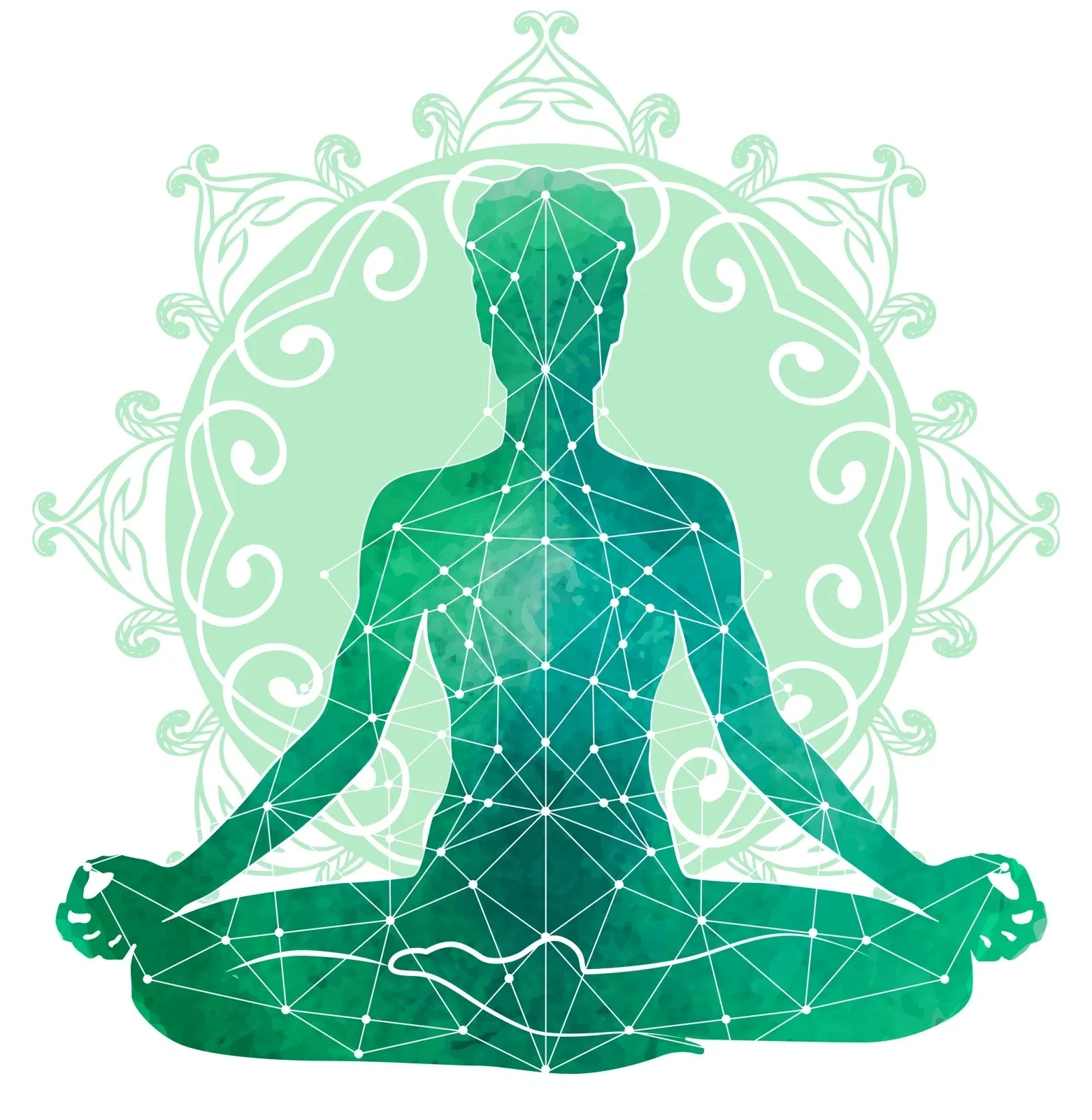 Profile picture of Test New